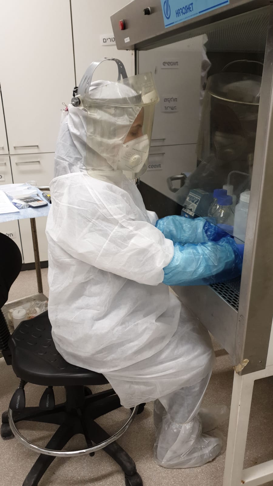 קארין יניב צילום עדן עוזר 