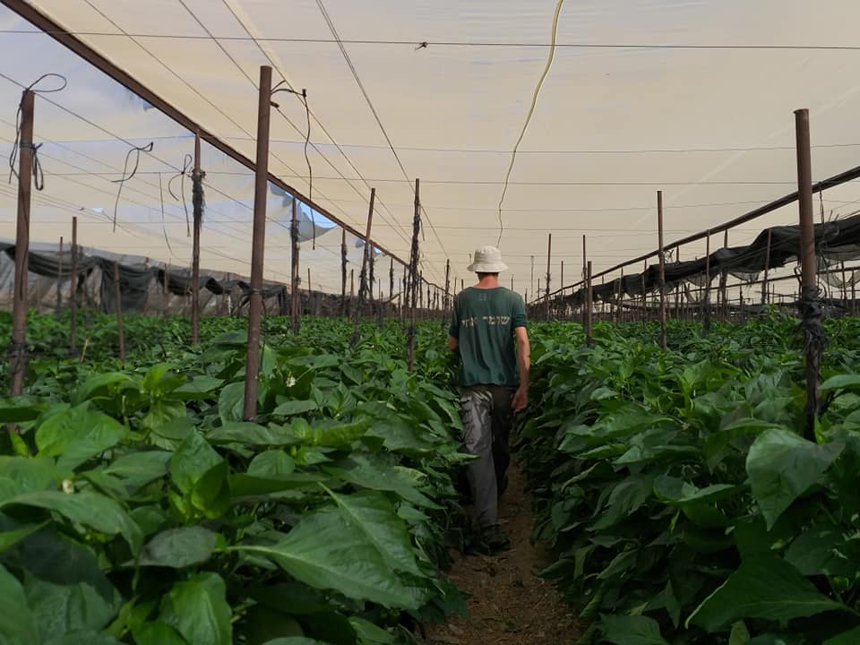 קרדיט צילום: השומר החדש
