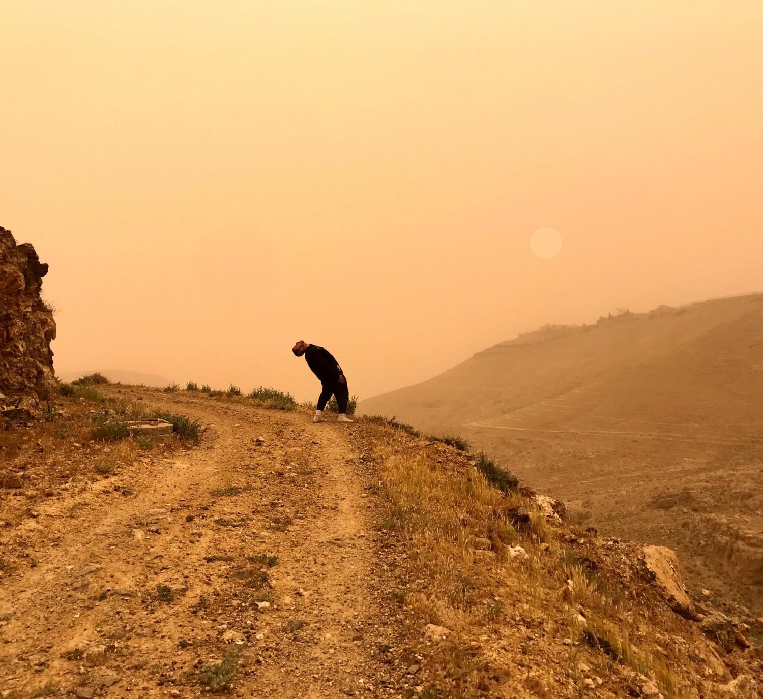 קרדיט: האחים מוסלין, הזמן הצהוב