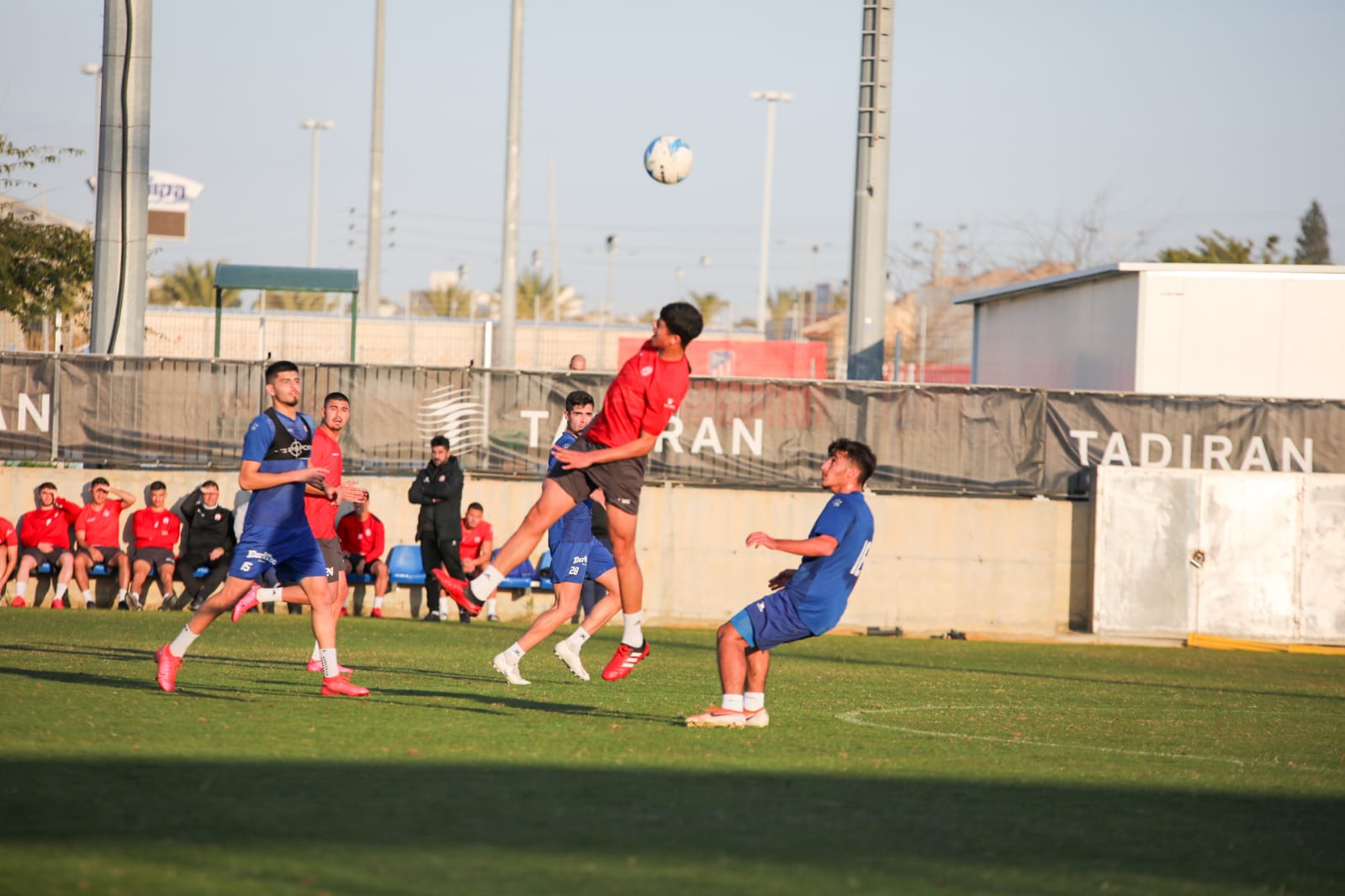 צילום: זאב דיקמן