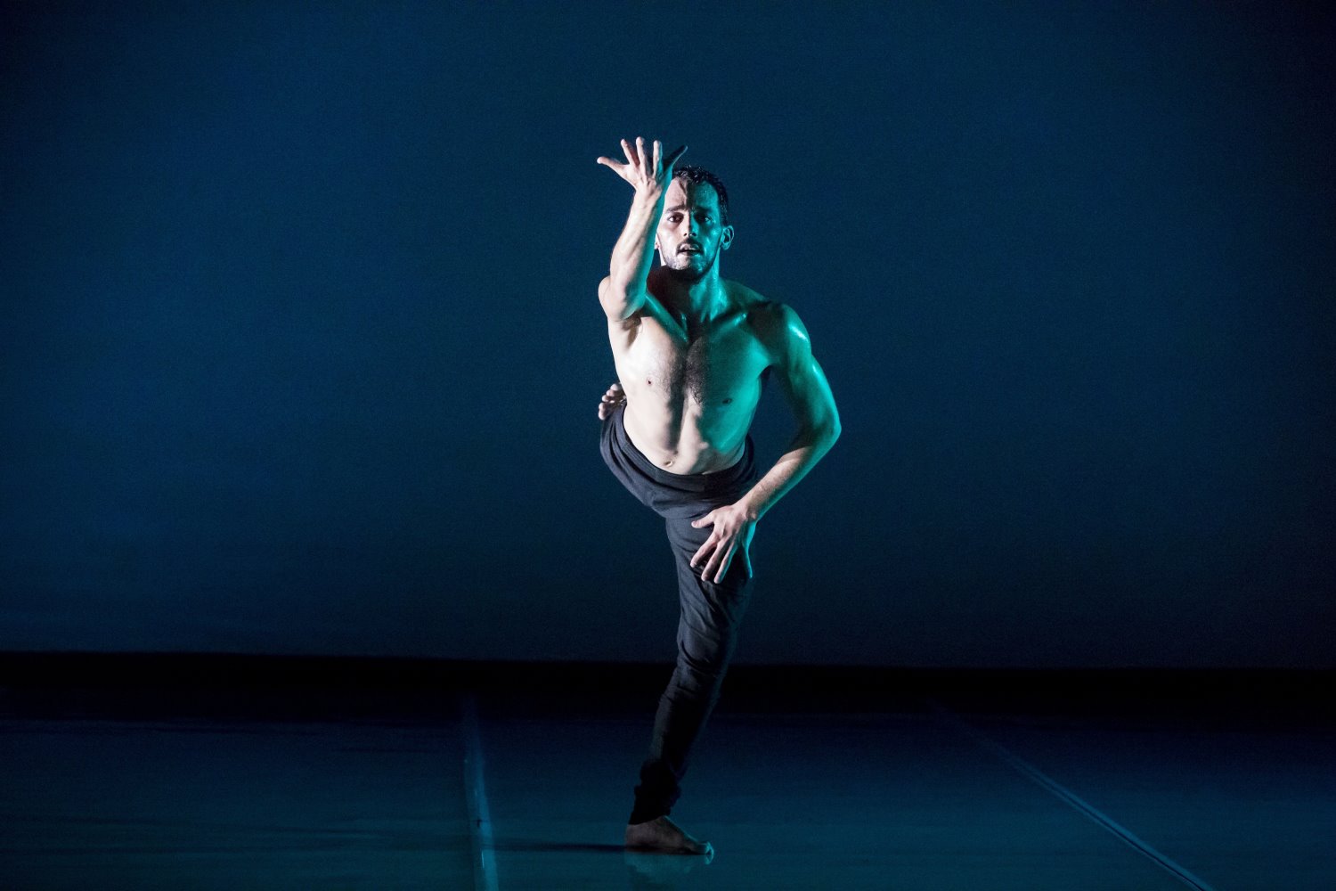 אלדר אלגרבלי צילום: כפיר בולוטין