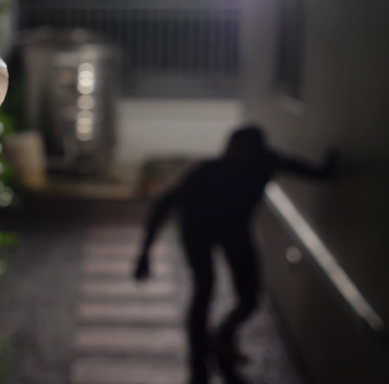 צילום: shutterstock אילוסטרציה