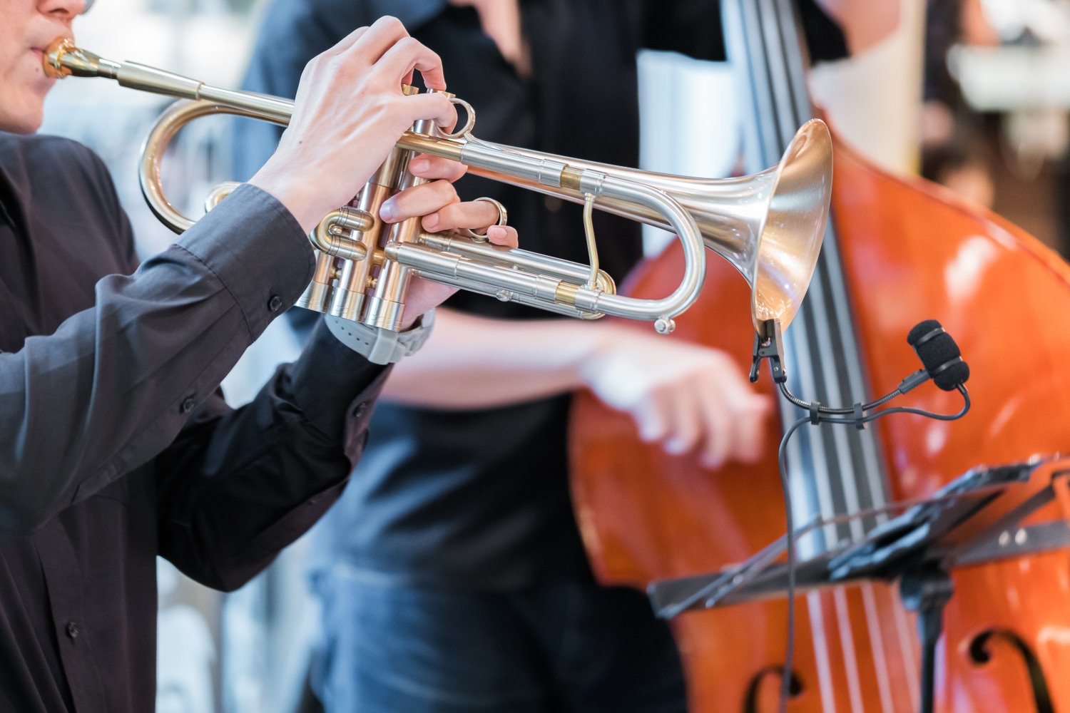 צילום אילוסטרציה Shutterstock