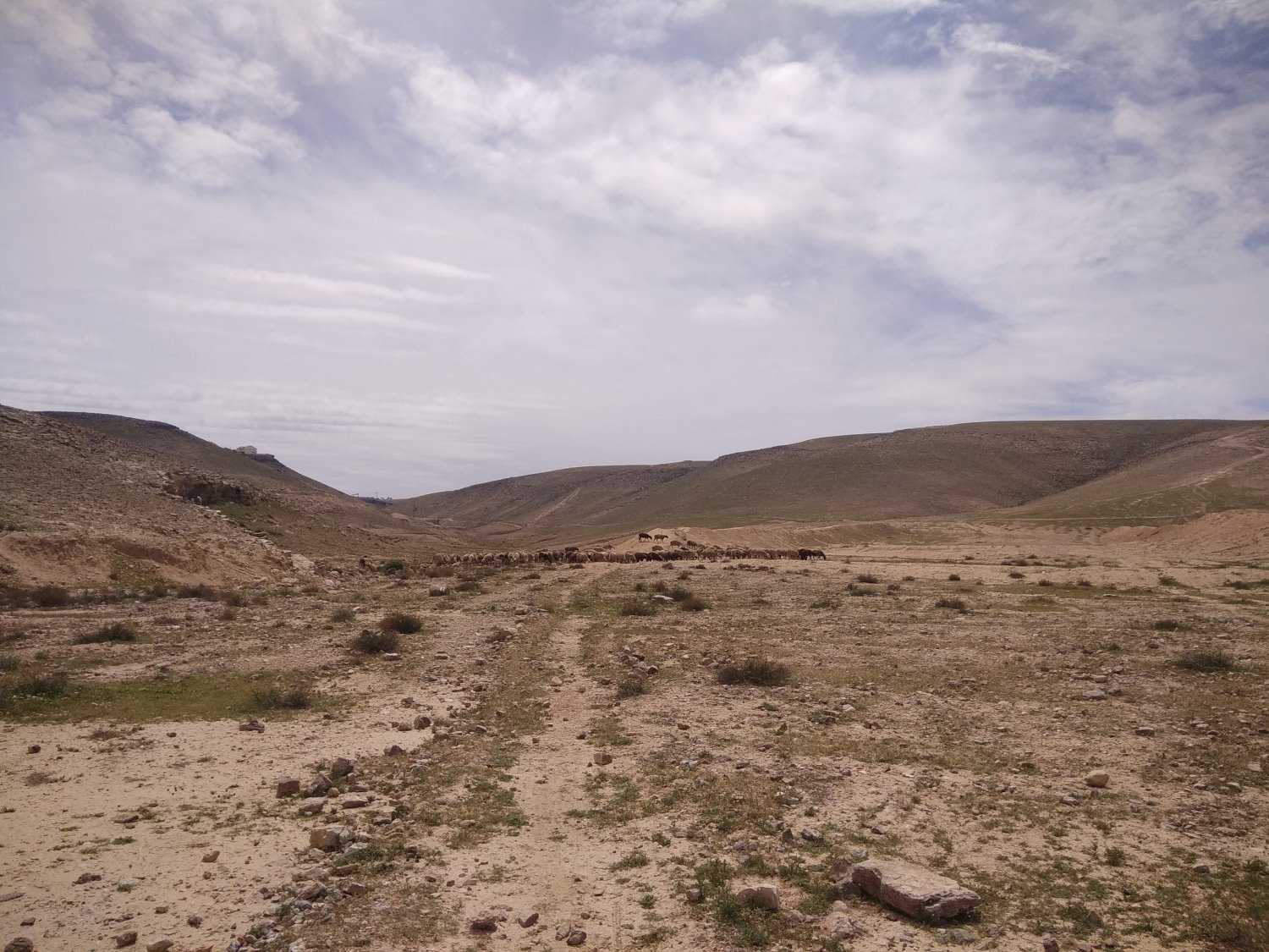 ערוץ 4 ונחל חסד. קרדיט: ענבל ארזי מדריכת טיולים בערד