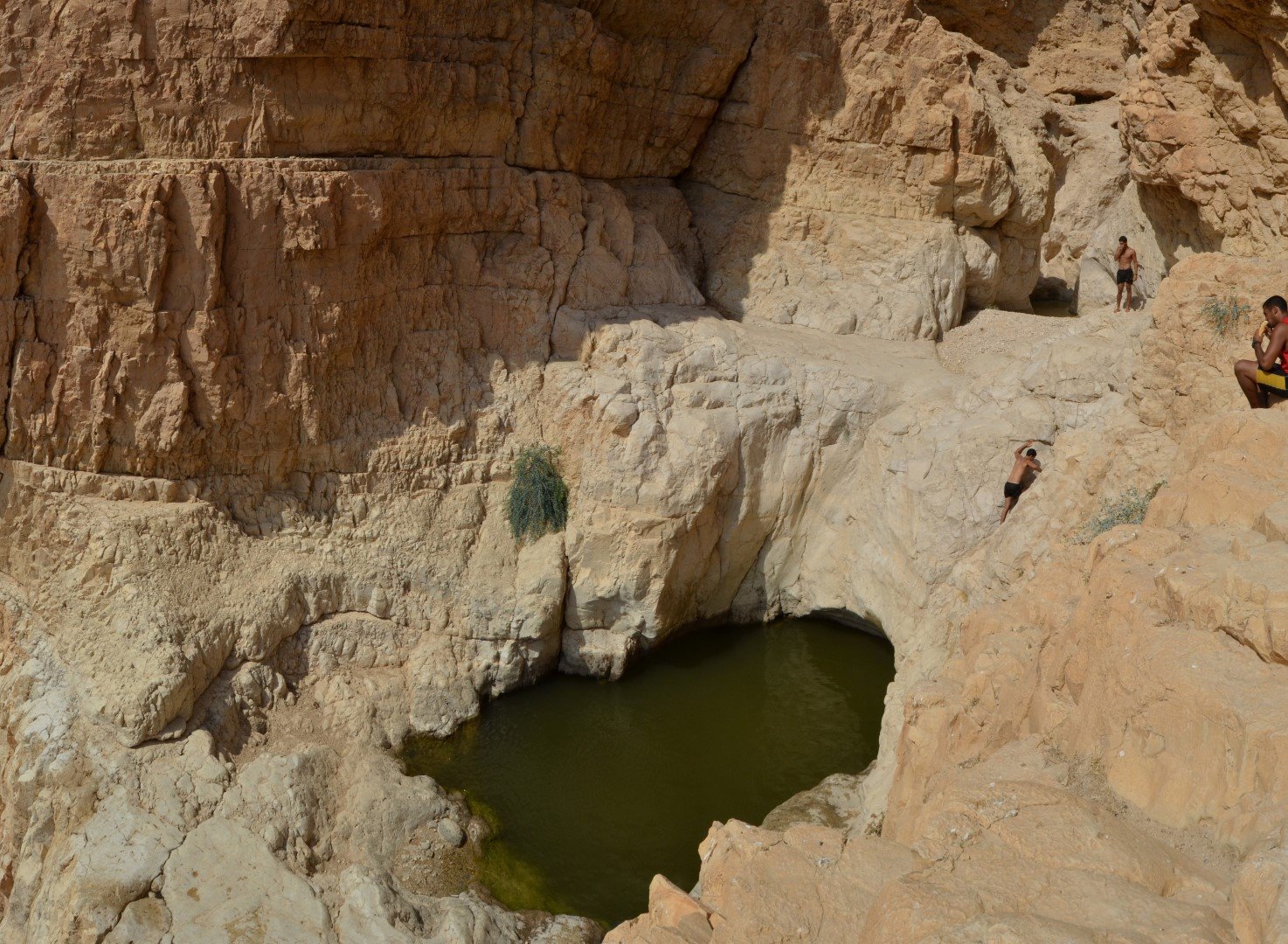 בירכת צפירה. קרדיט- יוני גריצנר 