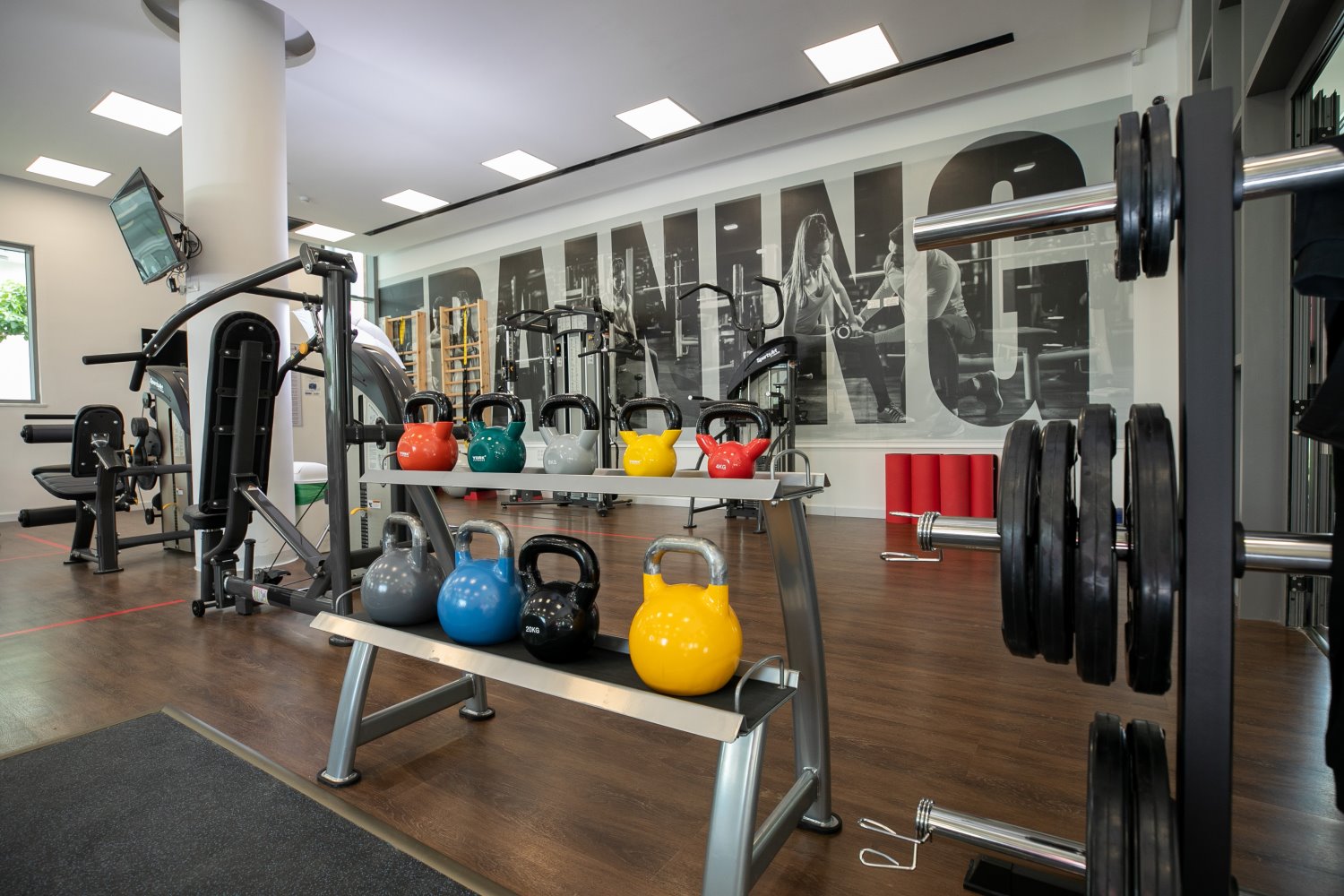 צילום אביסרור 