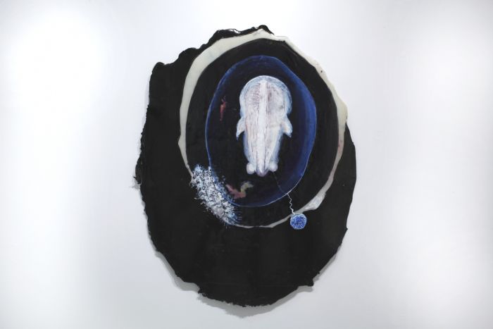 קרדיט – המכללה האקדמית ספיר