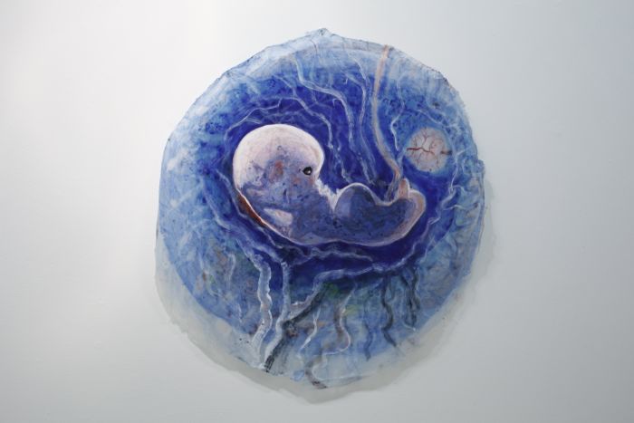 קרדיט – המכללה האקדמית ספיר