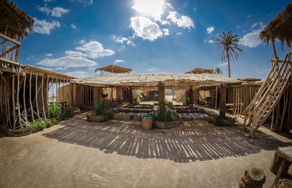 צילום: יוני גריצנר 