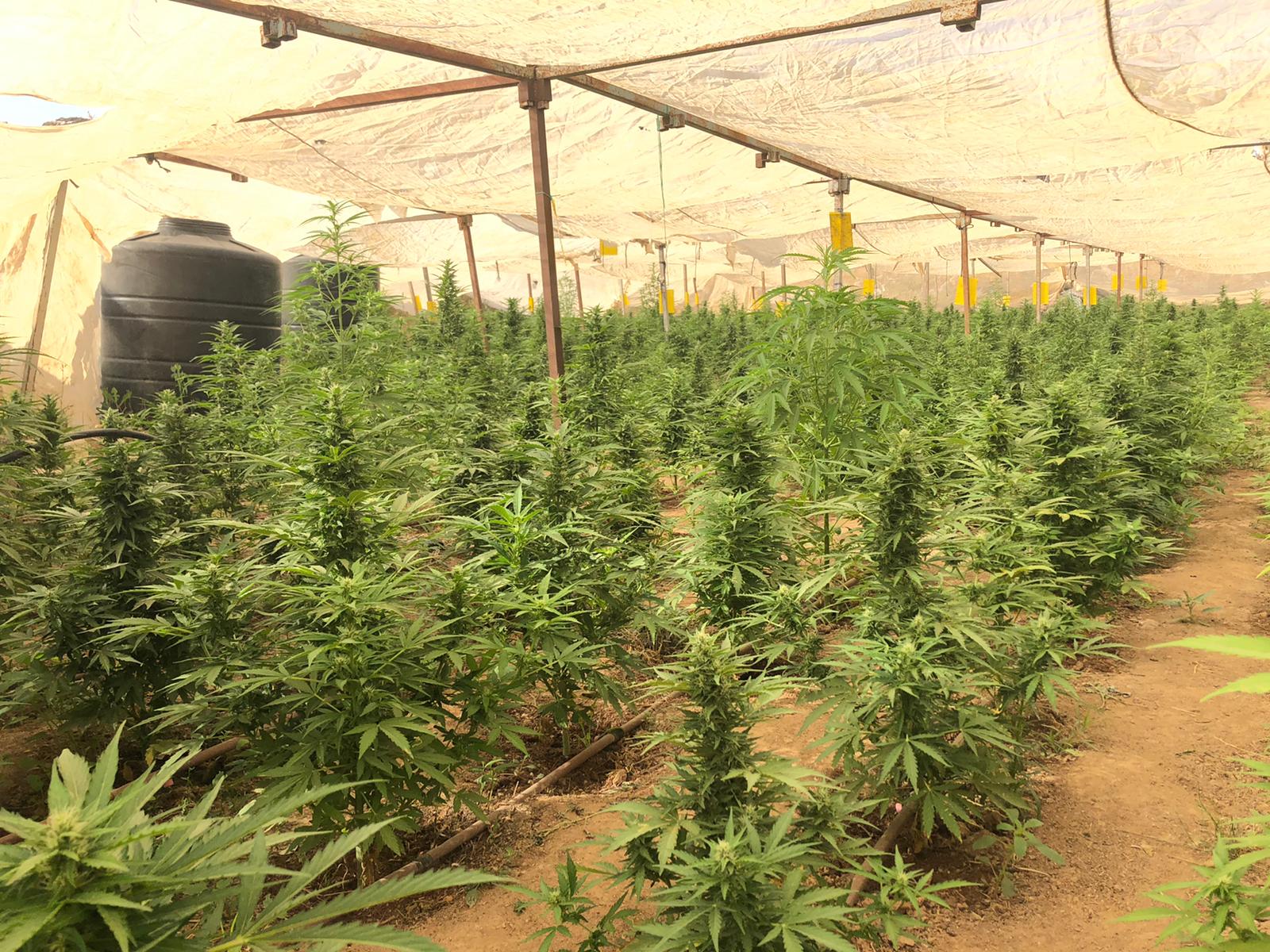 צילום באדיבות משטרת ישראל 