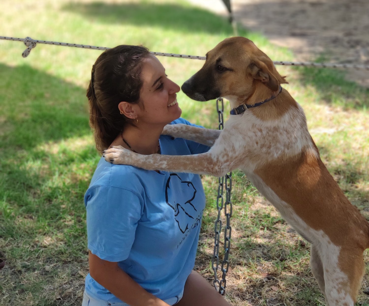 קרדיט: עמותת באר שבע אוהבת חיות