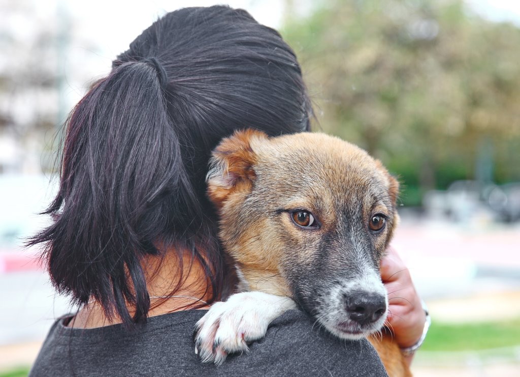 קרדיט: עמותת באר שבע אוהבת חיות