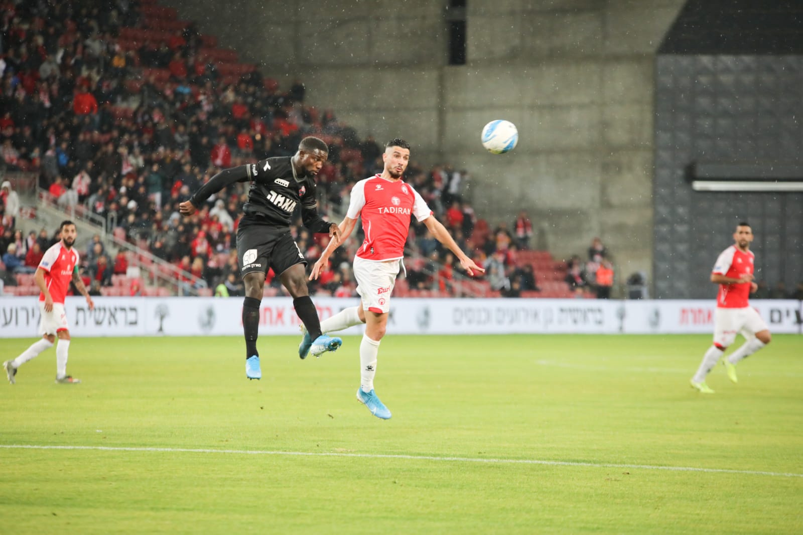 צילום: זאב דיקמן