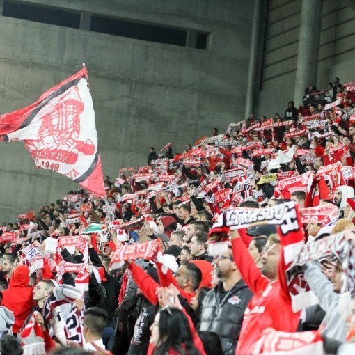 צילום: זאב דיקמן