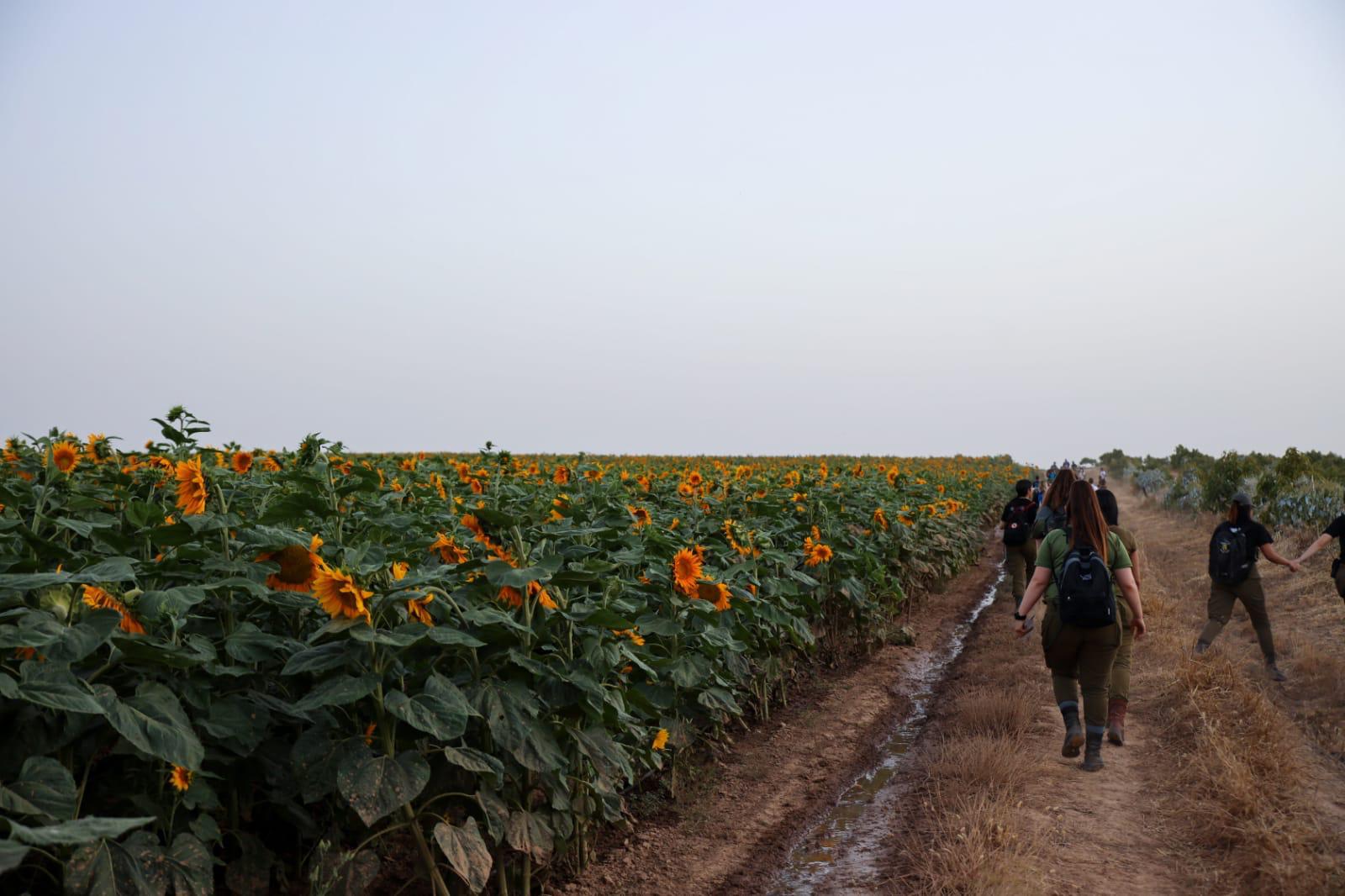 צילום באדיבות דובר צה"ל 