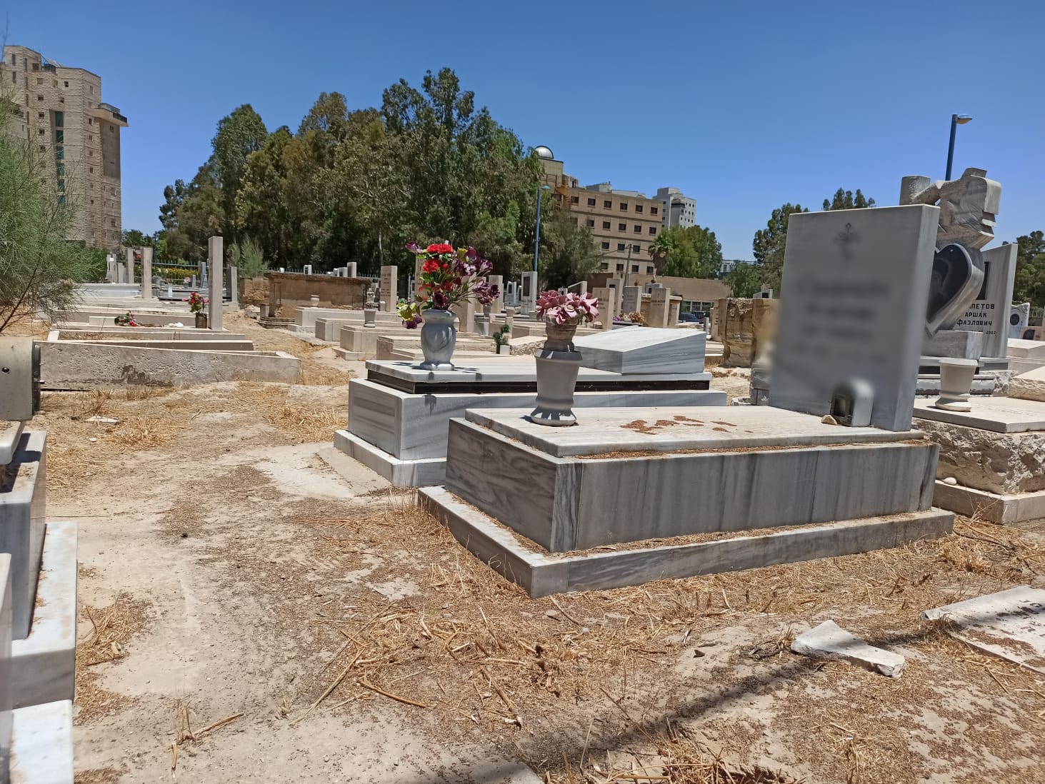 צילום: יהלי אוזן