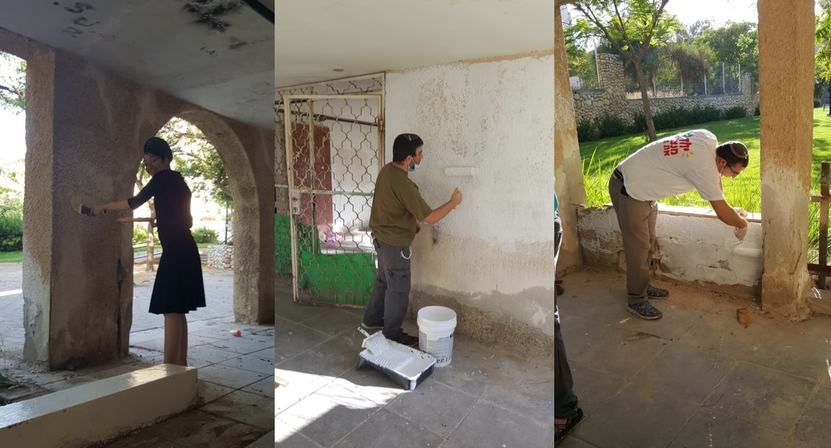 תושבי שכונה יא' ביוזמת צביעה