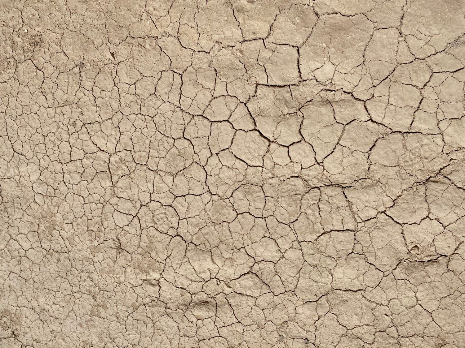 קרדיט: PHOTO IS:RAEL