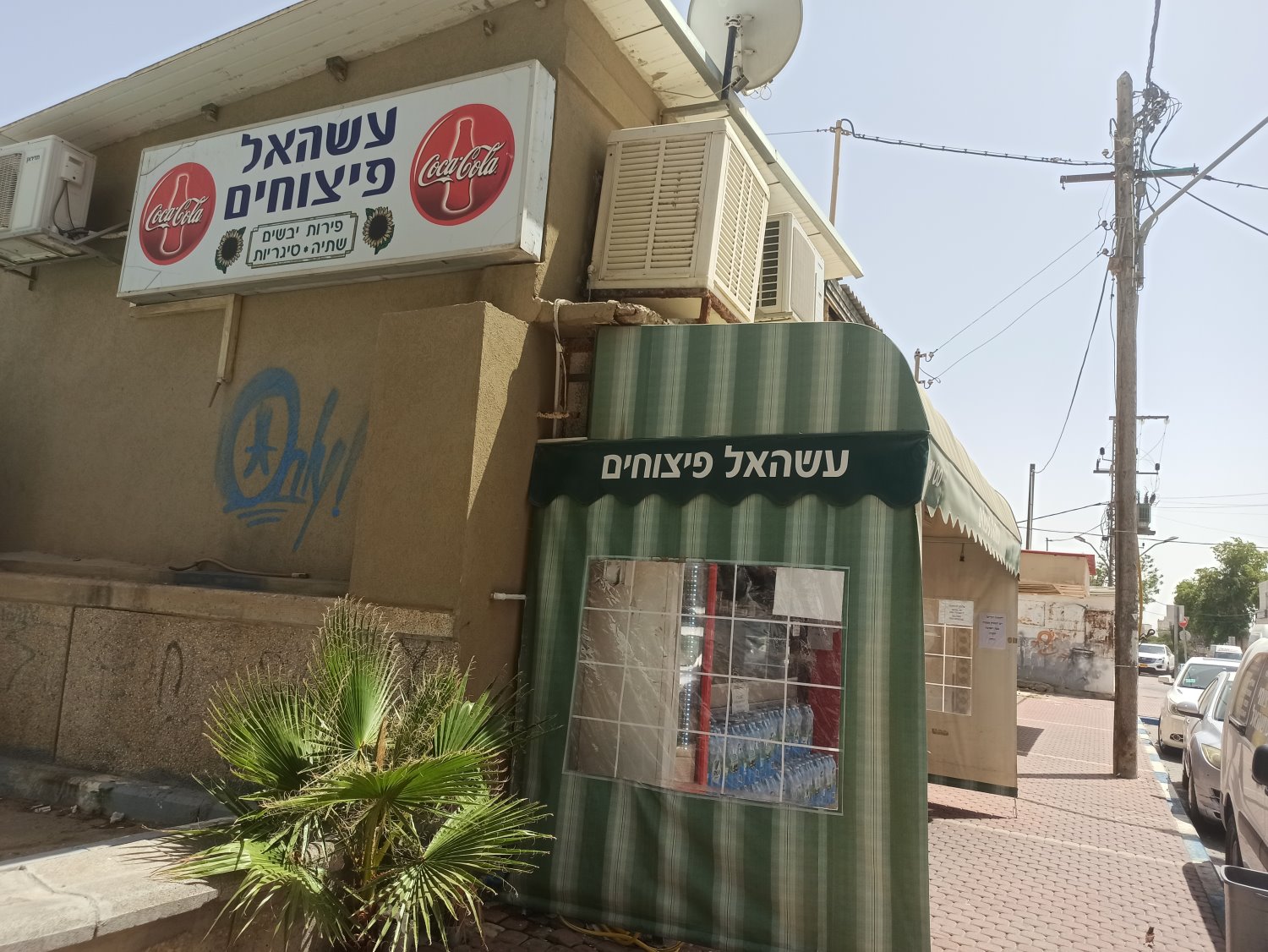 פיצוחי עשהאל. צילום: יהלי אוזן