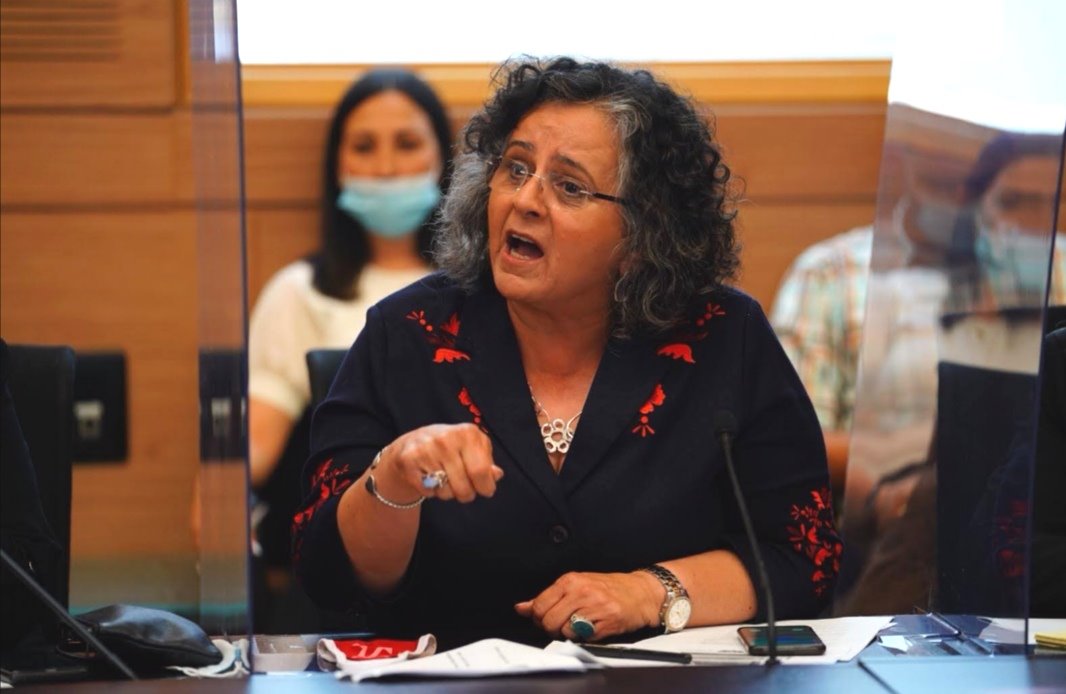 צילום: דוברות הכנסת עדינה ולמן