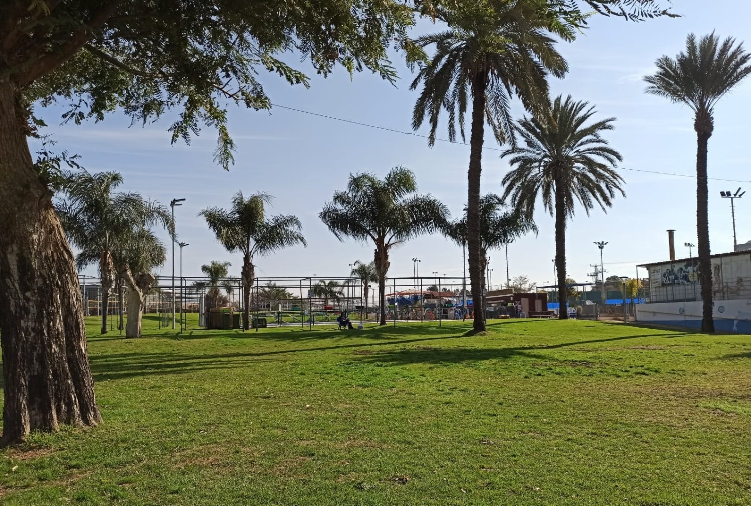 צילום יהלי אוזן