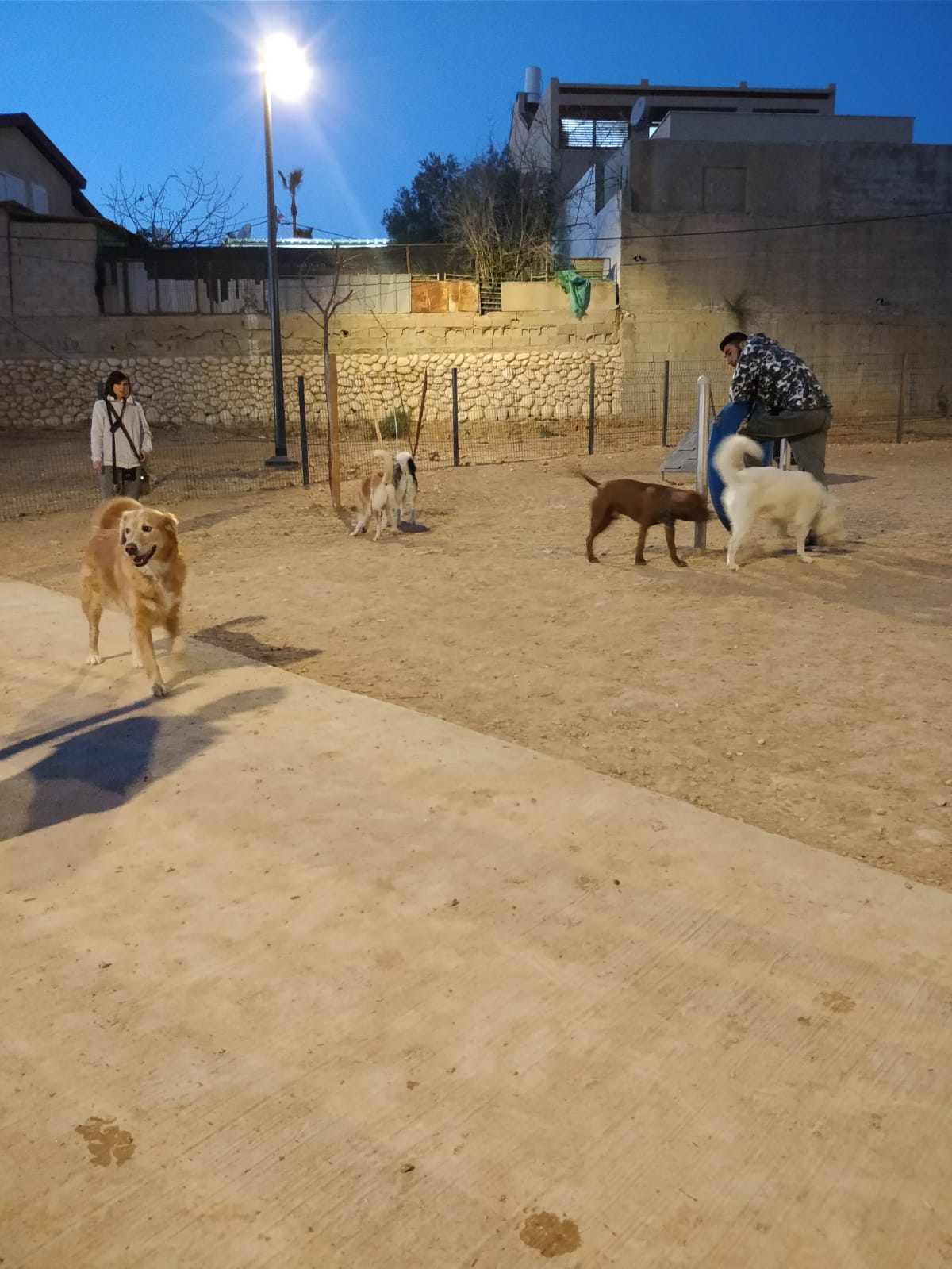 גינות הכלבים נסגרות בשעות הערב המוקדמות. צילום פרטי