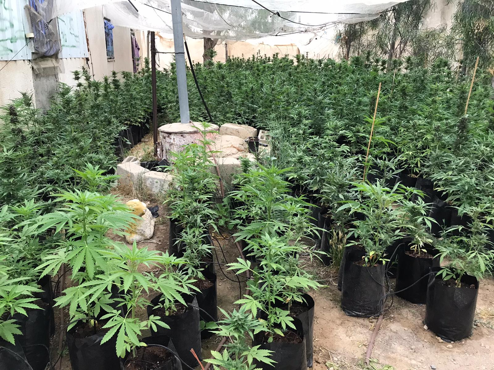 צילום באדיבות משטרת ישראל