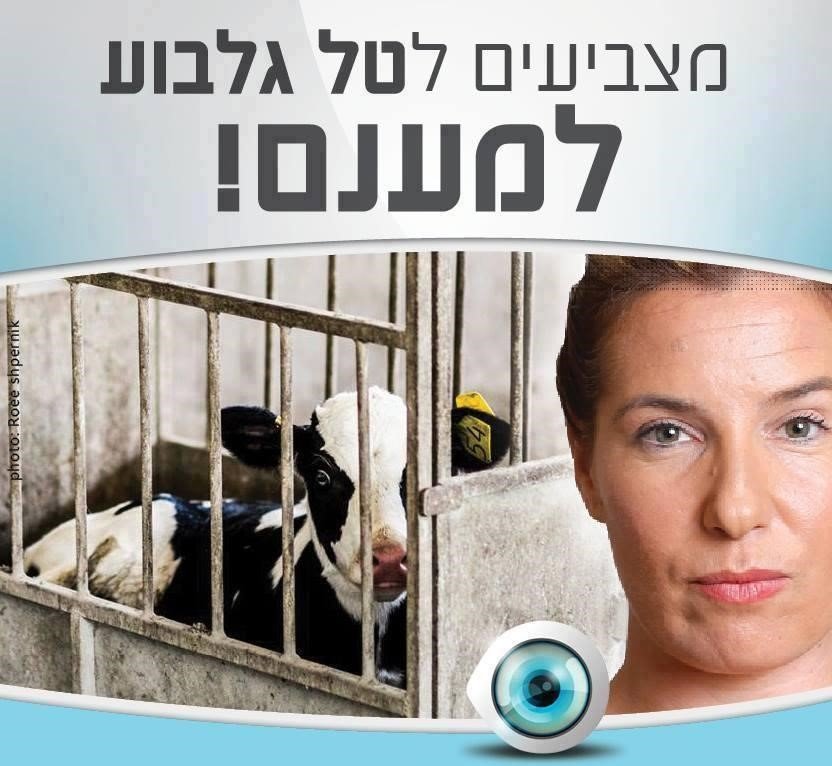 האמונה בחשיבות המסר הכריעה את ההחלטה והביאה אותם להשתתף בתוכנית צילום מתוך עמוד הפייסבוק 