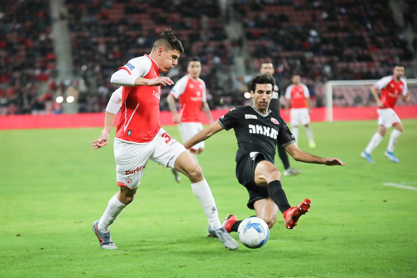 אור דדיה. צילום: זאב דיקמן