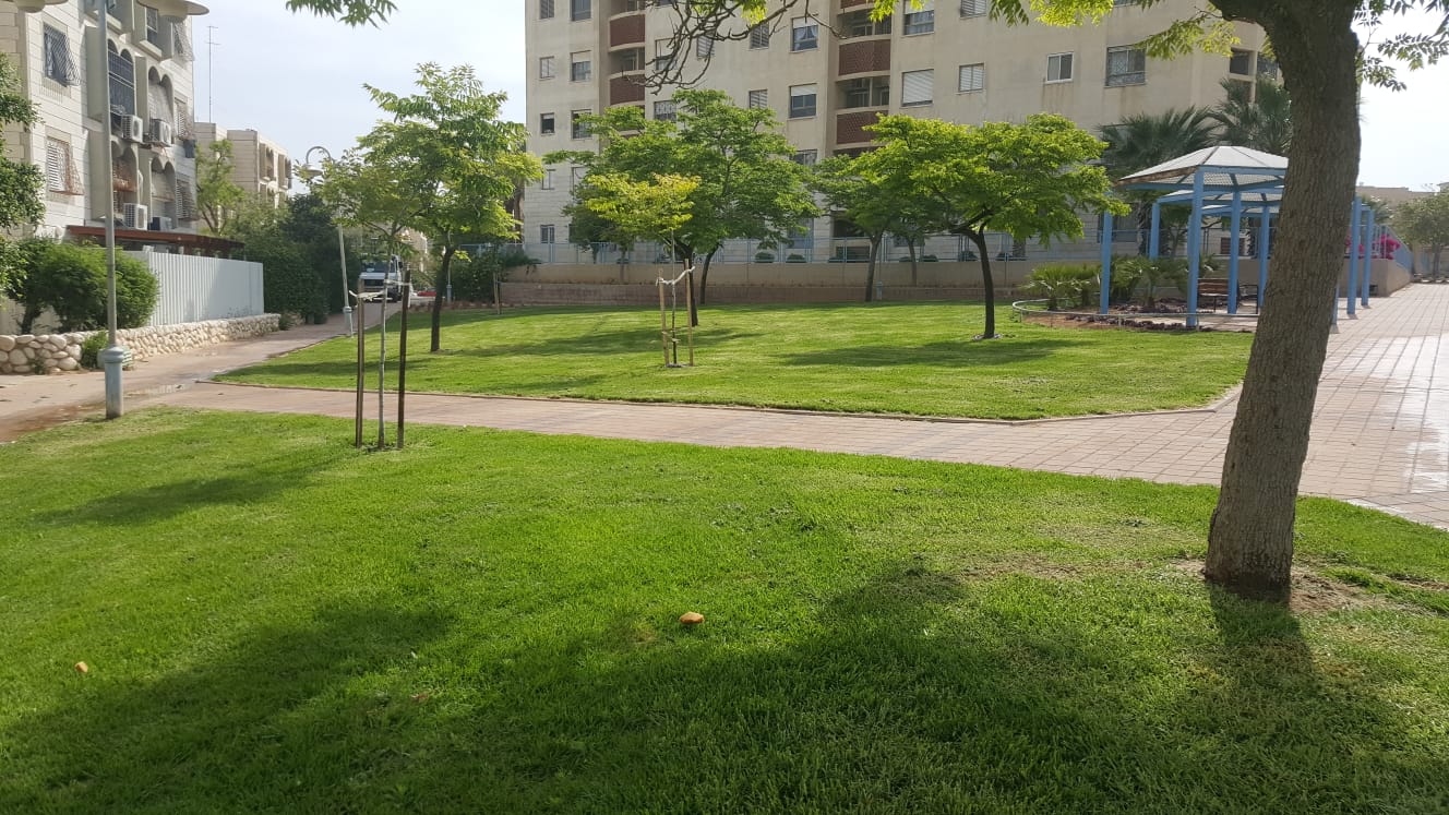 צילום באדיבות עיריית באר שבע 