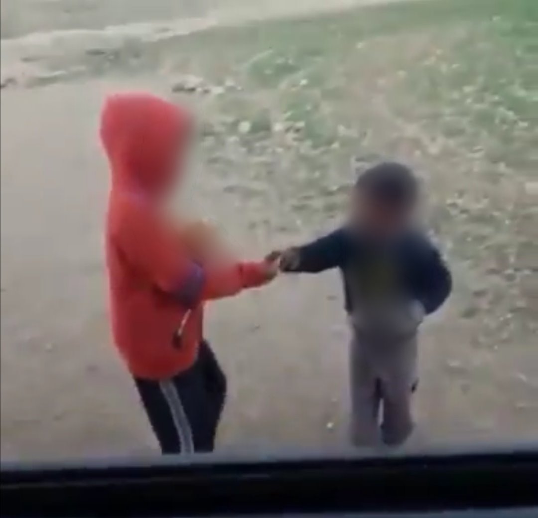 "מי רוצה להאכיל בדואי?" 