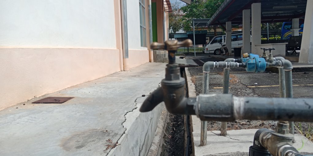 צילום אילוסטרציה Shutterstock