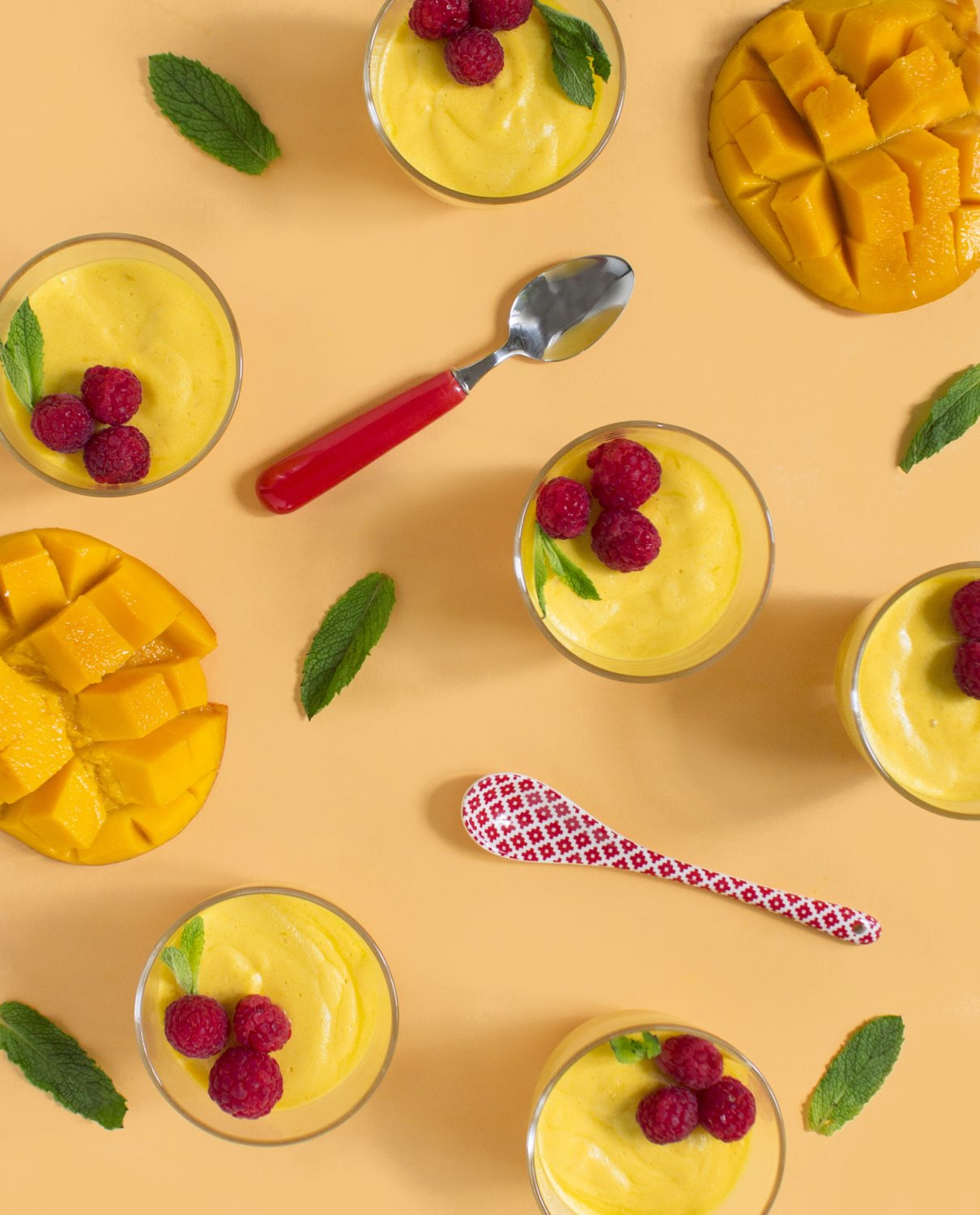 צילום סטודיו TEKA