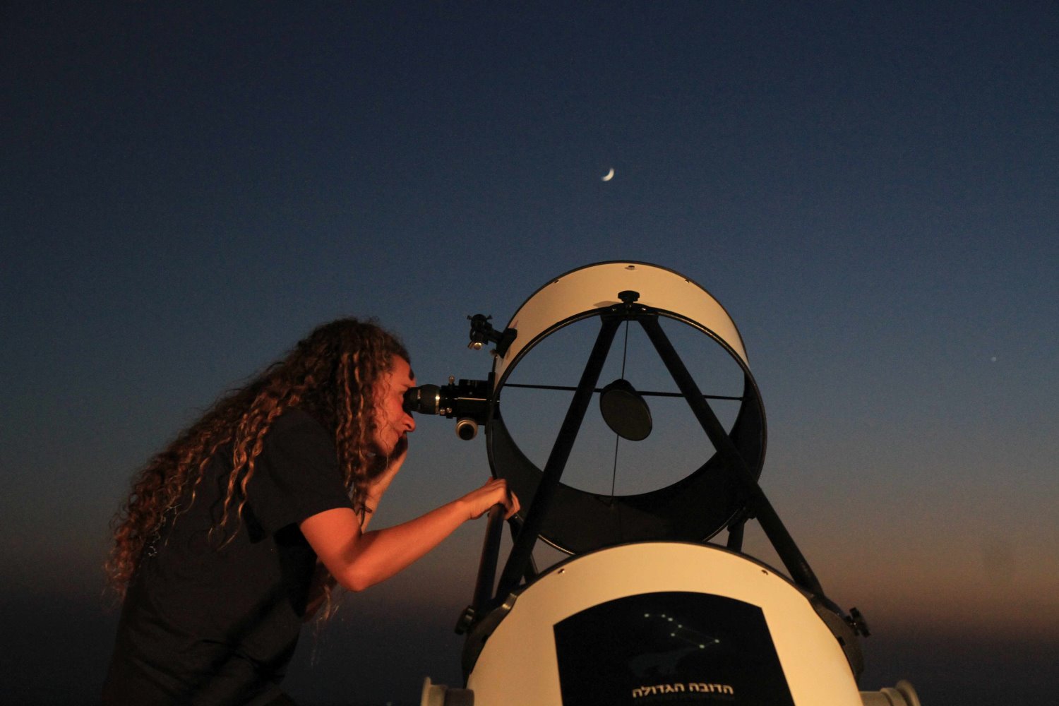 יעקב לדרמן - הדובה הגדולה 