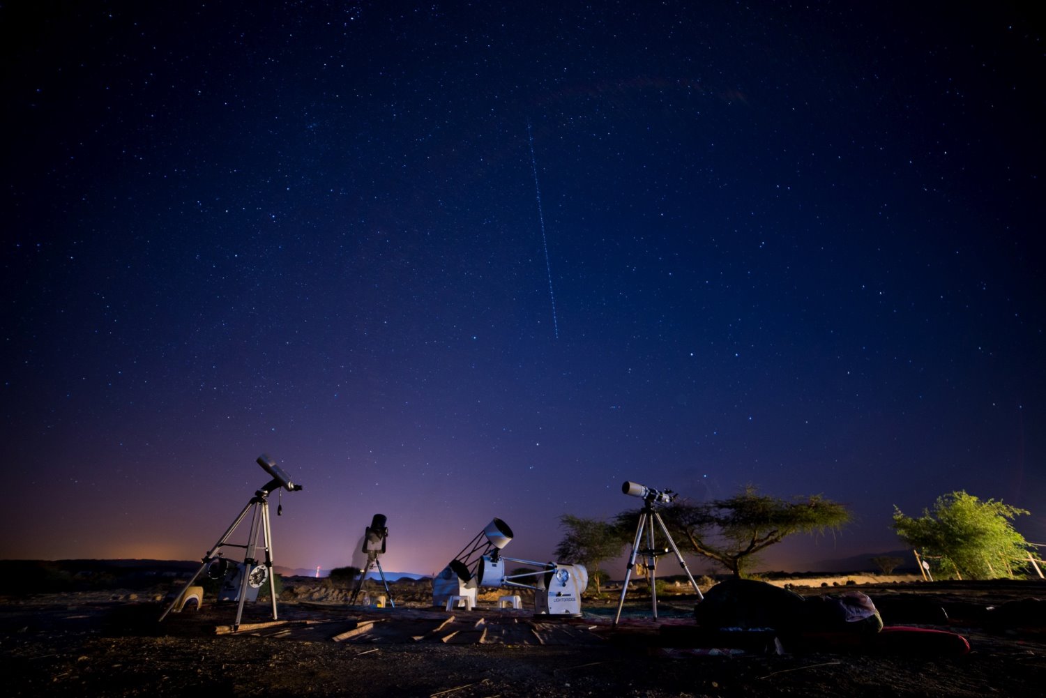 יובל פדר - הדובה הגדולה