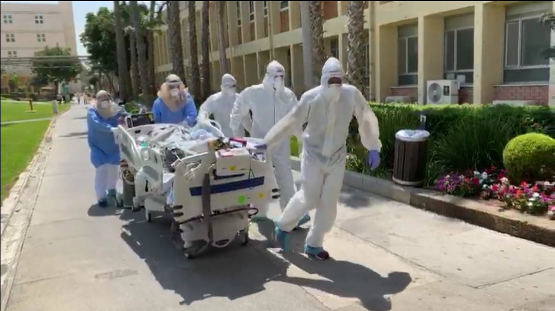 צילום רחל דוד סורוקה 