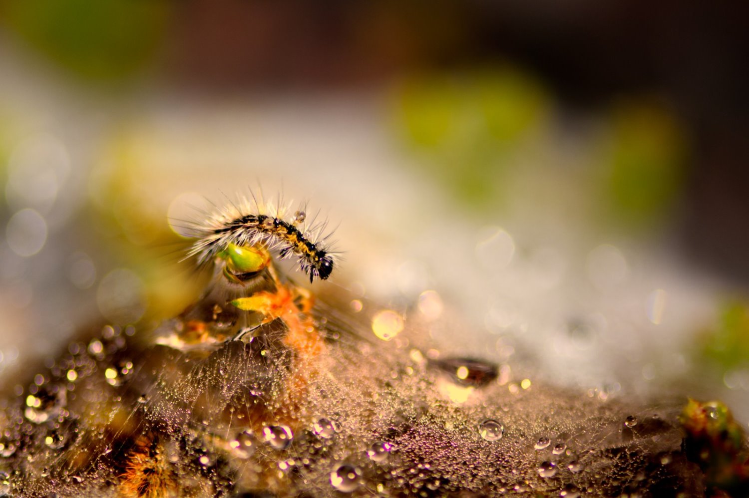 'קרוב לבית' התמונה המוצגת בתערוכה 'מה נשמע בבית' במוזיאון הנגב | צילום: איריס ריש 