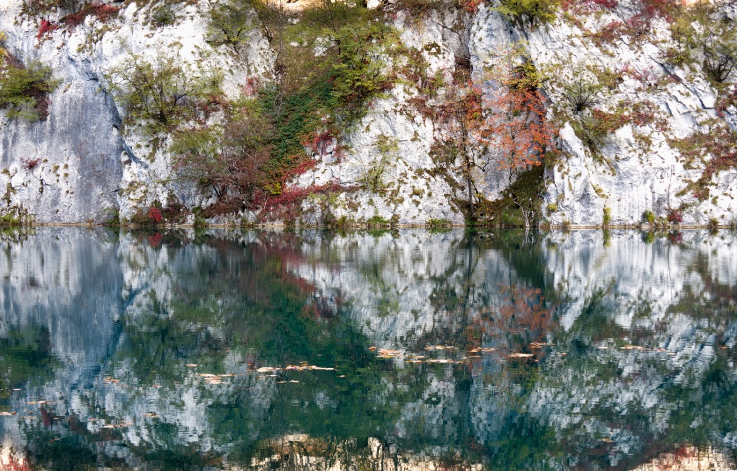 "מציאות לדמיון" מוצג בתערוכה "מתבוננים מחדש על החופש" בבית ציוני אמריקה | צילום: איריס ריש 