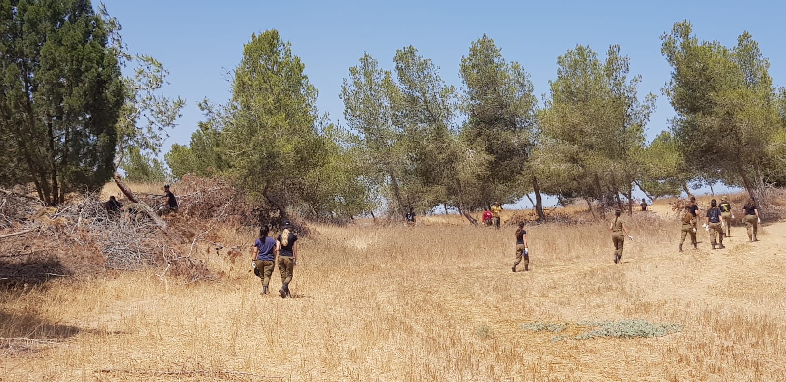 מתנדבי קק&quot;ל צילום גלית אברהם 