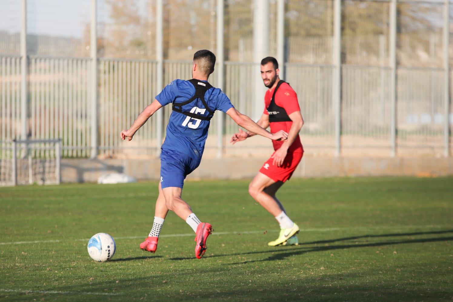 צילום: זאב דיקמן