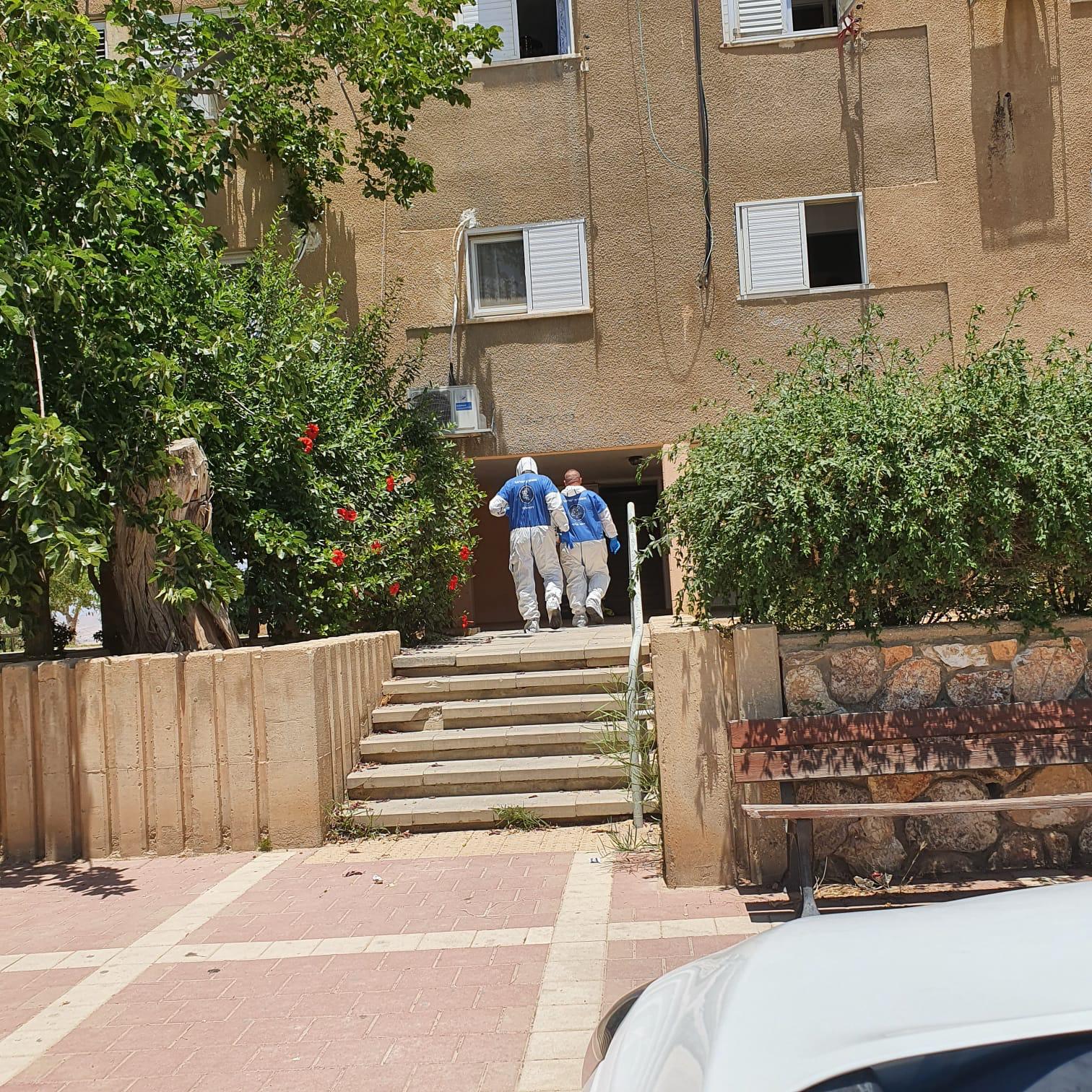 צילום זק&quot;א 