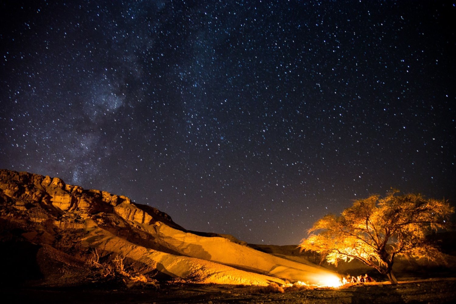 צילום דניאל בר