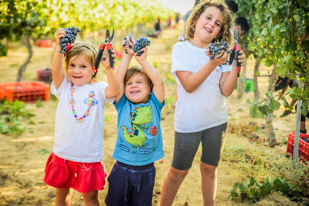 ישי כהן השומר החדש