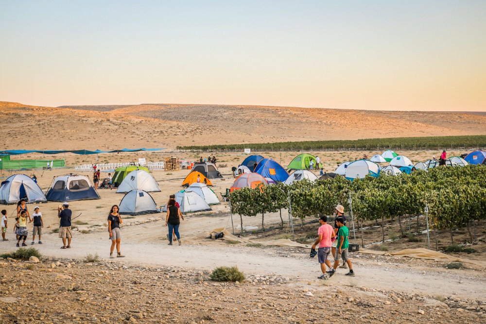 פסטיבל הבציר. קרדיט ישי כהן, ישי כהן השומר החדש, תות ברנע, מרחב בריחה בטבע