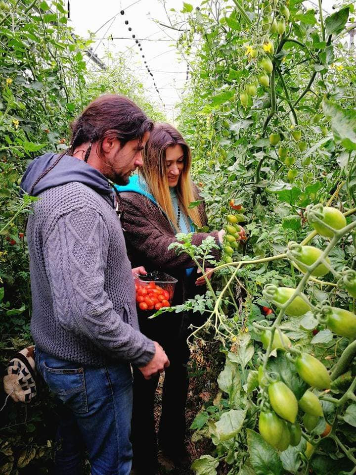 תות ברנע. ישי כהן, ישי כהן השומר החדש, תות ברנע, מרחב בריחה בטבע