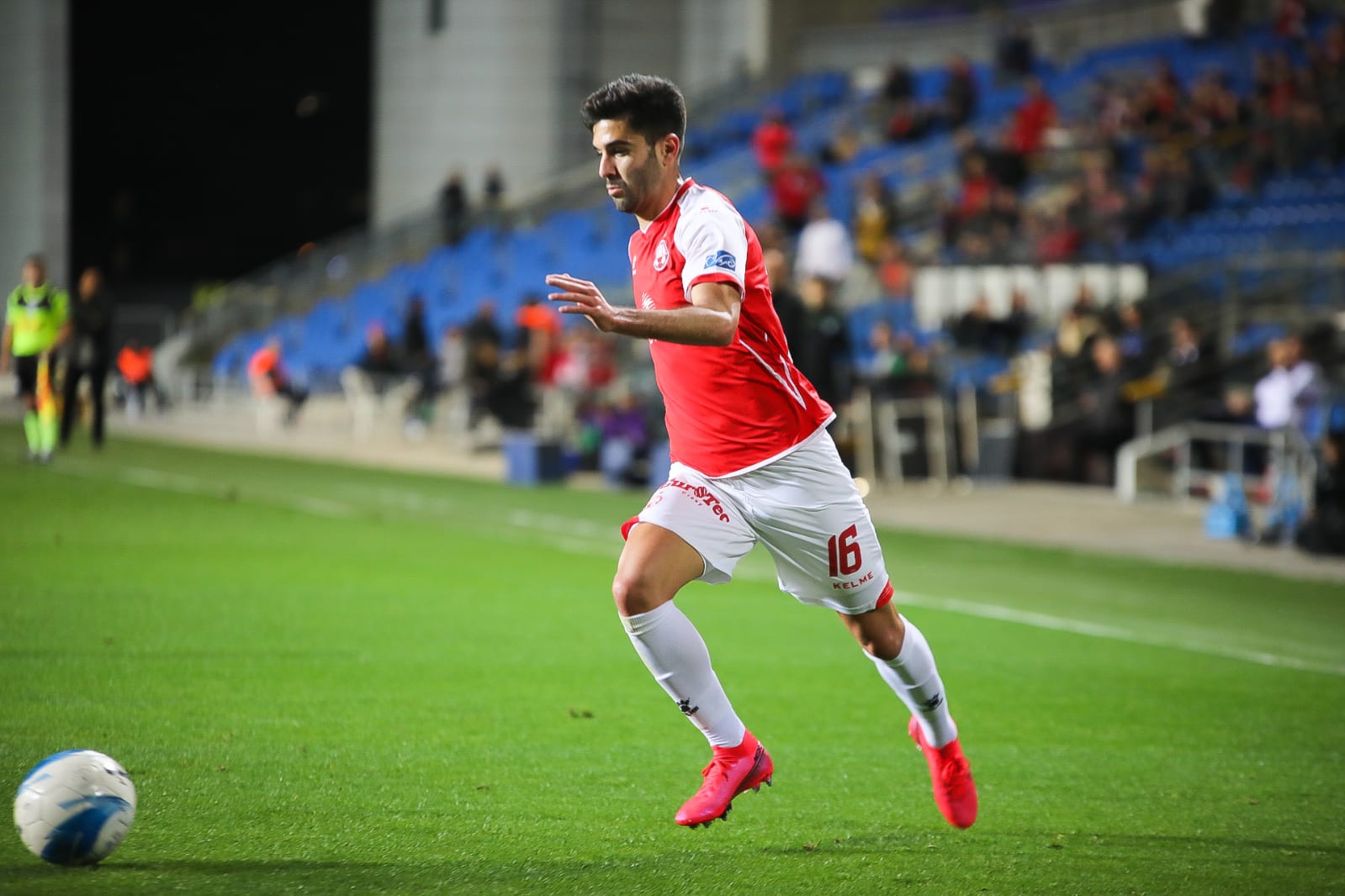 ביטון כבש. צילום: זאב דיקמן