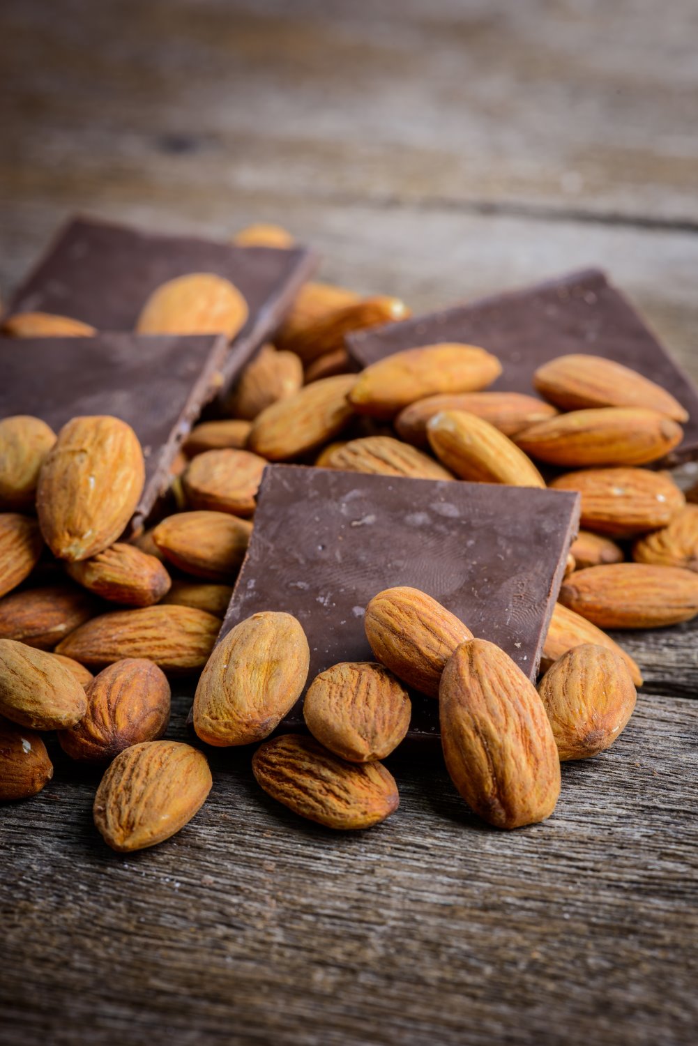 צילום אילוסטרציה Shutterstock