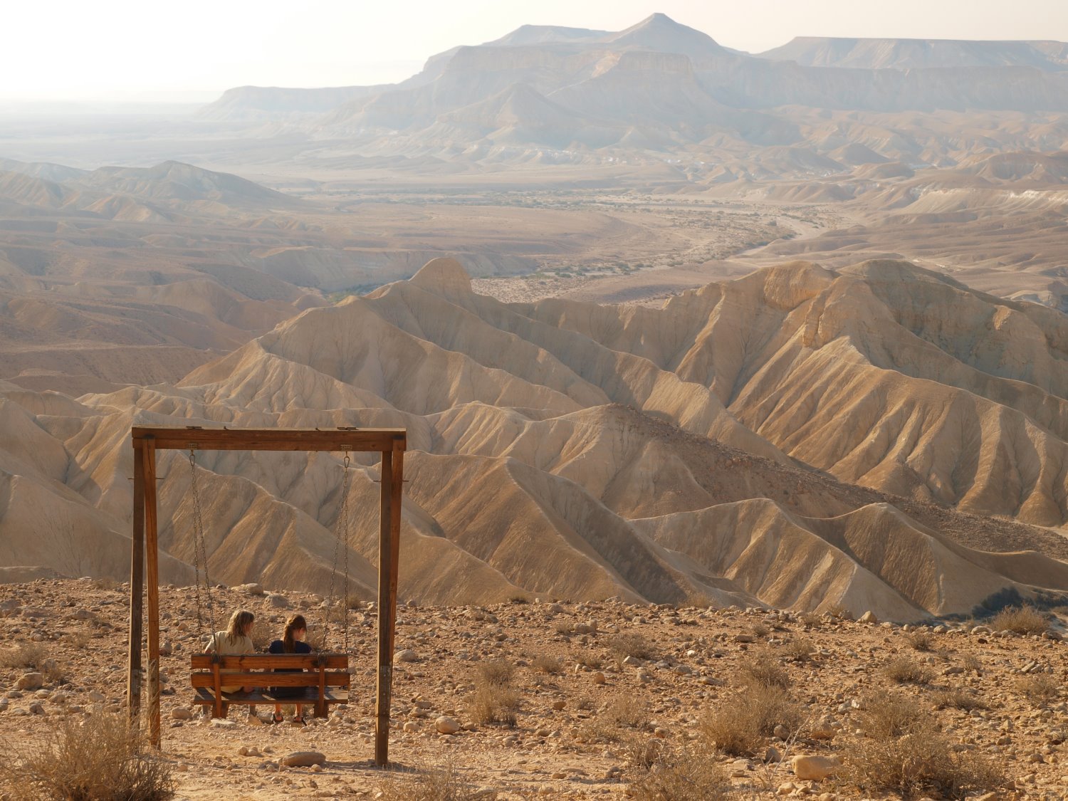 צילום: טל גליק 