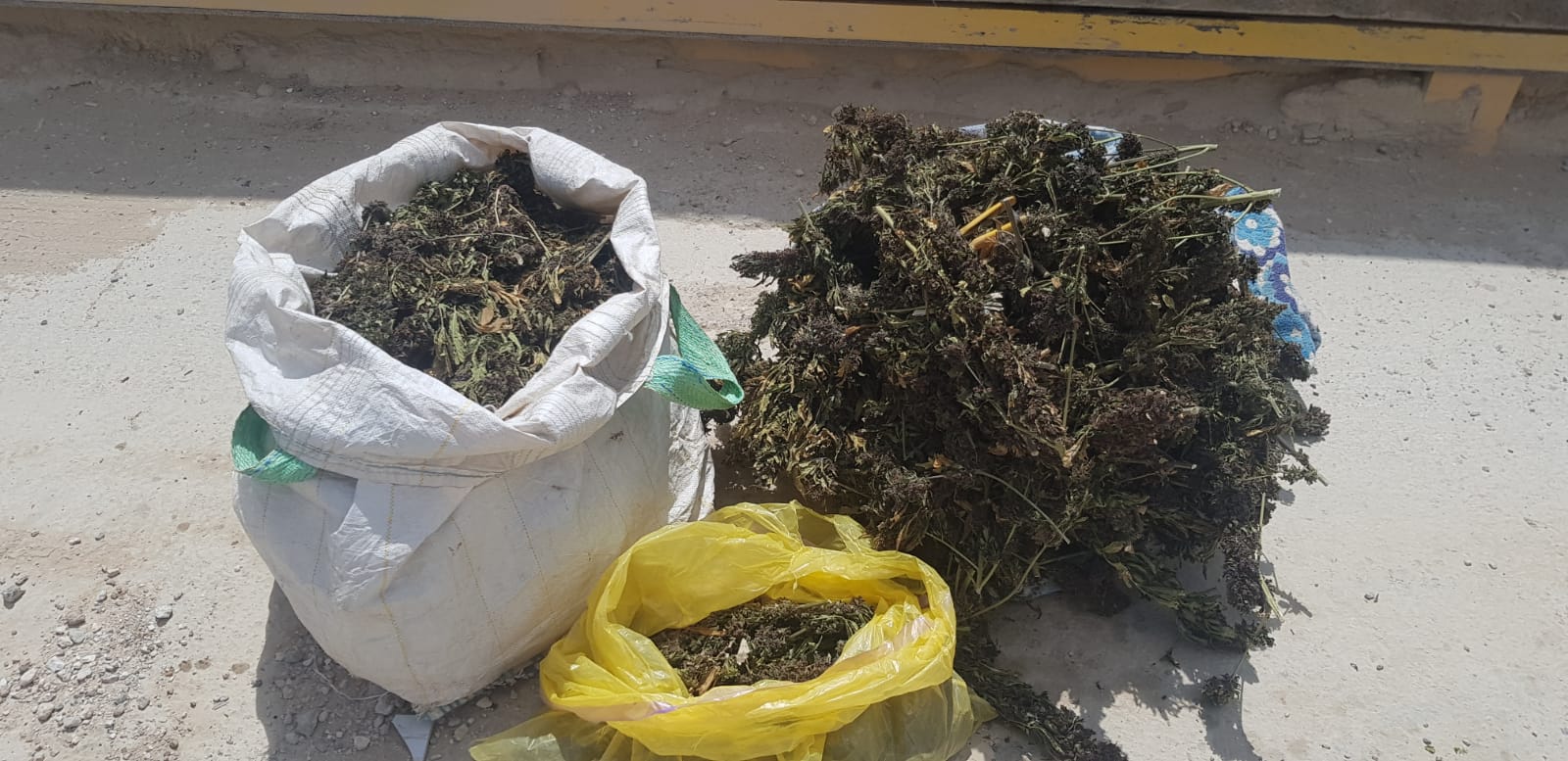 צילום באדיבות משטרת ישראל 