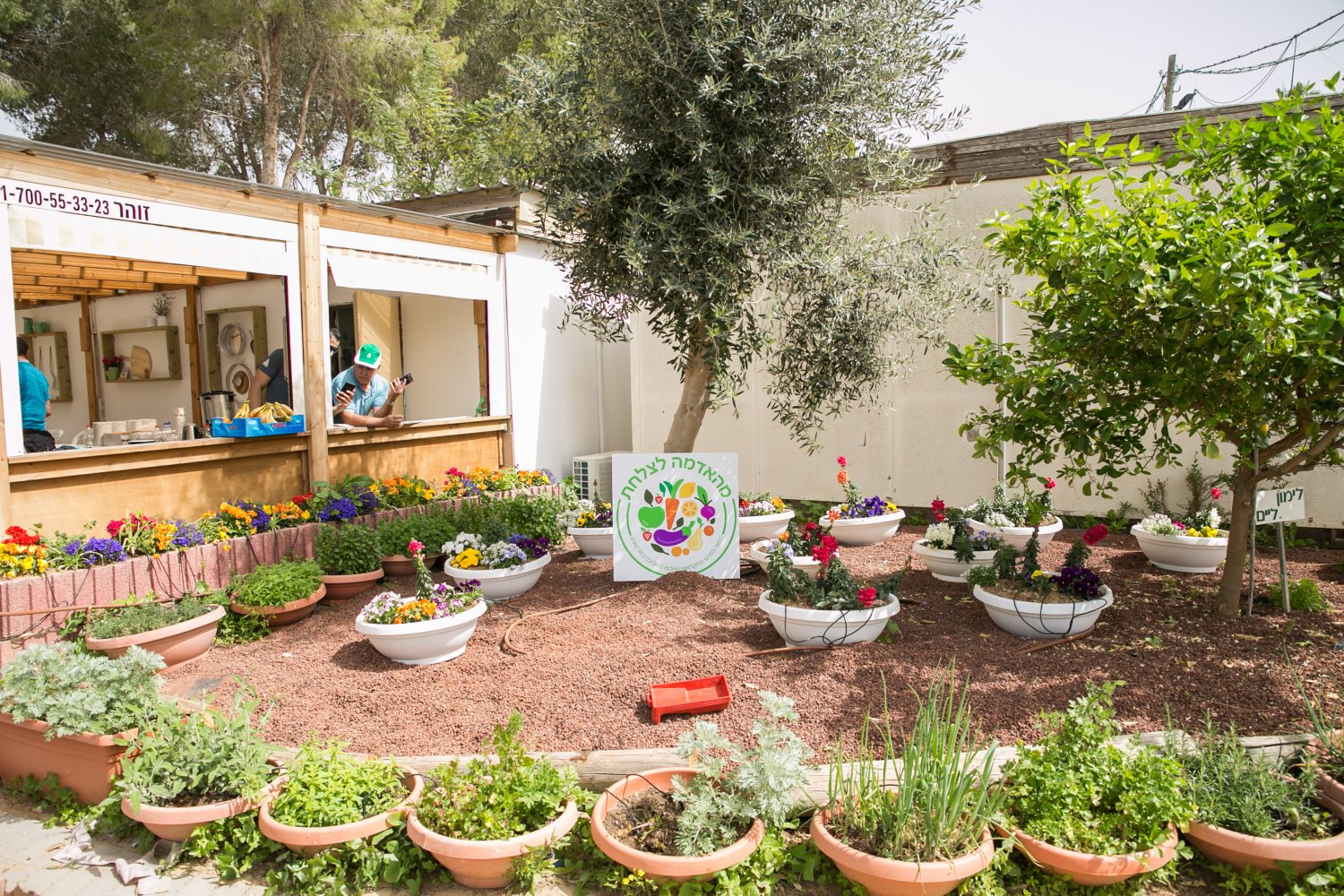 החווה החקלאית, צילום עוזי אברהם